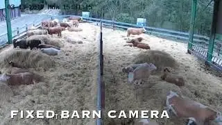 Country Guard Calving Cameras