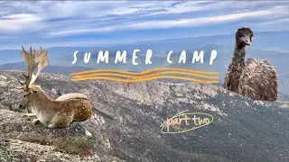 CAMPING IN LAKE CATANI | MOUNT BUFFALO VICTORIA (part 2)