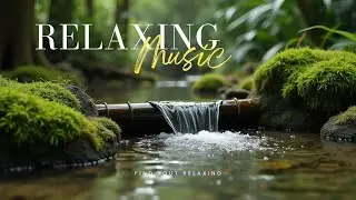 Bamboo Forest Piano – Calm Music for Study, Focus & Relaxation