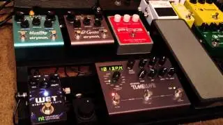 Neunaber WET Stereo Reverb + Strymon Timeline and El Capistan delays