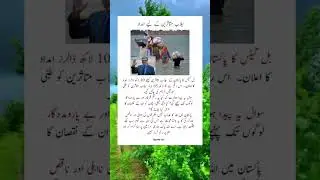 Pakistan floods🌧, Bill gates generous donation bring relief to millions 💫 #islam365 #floods #charity