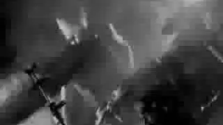 Jungle Rot - 