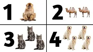 Learn 1 to 10 Numbers & Domestic Animals Names | 123 Number Names | 1234 Counting for Kids | #kids