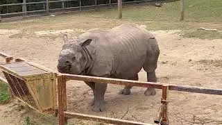 chester zoo aug 25