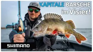 Perfekt f&uuml;r gro&szlig;e Barsche - World Diver 99SP &uuml;berzeugt im Paxistest!