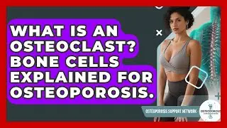 What Is An Osteoclast? Bone Cells Explained For Osteoporosis. - Osteoporosis Support Network