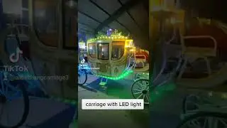 royal horse-drawn carriage with fulgurant Led light#weddingbuggy#is it beautiful?