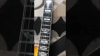 My Washburn 2018 Parallaxe Guitar