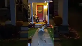 &iexcl;El susto de su vida! 🎃🐶 Mi perro vs. El mu&ntilde;eco de Halloween #susto #halloween #perro
