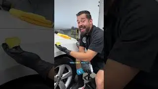 How to Clay Bar! #shorts #youtubeshorts #claybar #detailing #howto #diy #clay #carcare #cardetailing