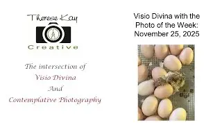Visio Divina Nov 25 2025
