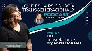 PODCAST Raquel Schlosser y Julieta Lujambio 4/5 Las constelaciones organizacionales