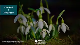 La Buena Semilla - 5 de febrero (Romper las cadenas)