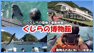 【くじらの博物館】動物ふれあいNo 1in和歌山～くじらの聖地で感動体験！～