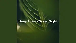 Calm Night Flow