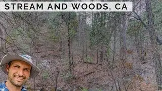 Stream Woods Road Power Water Look at this Land