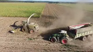 Maisernte 2022 - Mais H&auml;ckseln f&uuml;r Biogasanlage