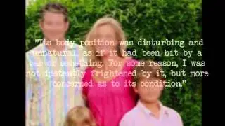 The story of the Rake