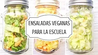 ENSALADAS F&Aacute;CILES PARA LA ESCUELA O EL TRABAJO - VEGANAS