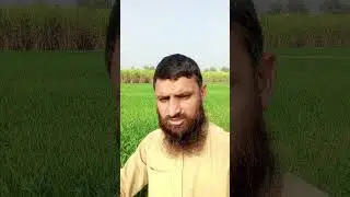 #foryou #beautifulquranrecitation #viralvideo #trending #ghulammujtaba