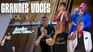 Grandes Voces Vol 1 - Fede Gonzalez DJ