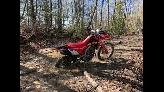 Yamaha TW200/Honda CRF 250L/Suzuki DR 650 - Houlton, ME - Aroostock County