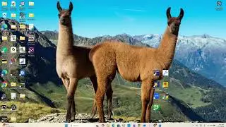 Setting Up IP Addresses and Network Sharing