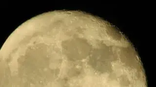 UFO's and some birds crossing the moon