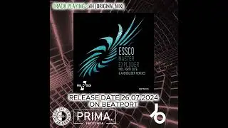 PRIMA. | Master Exploder [Pro B Tech Music] Released 26.07.24