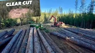 Удачный бизнес-ход. Лесопилка отключила нас после этой работы.