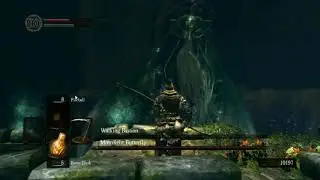 Dark souls daughters of ash.  Босс 05. Walking Bastion and Moonlight Butterfly (без лечения)