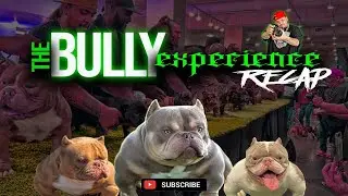 The Bully Experience  Los Angeles