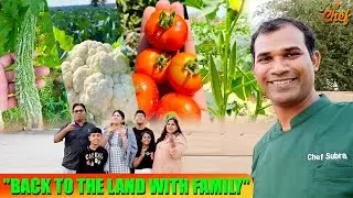 Harvesting Memories: A Family Visit to the Farm | Mrchefsubra | Farm Tour | Harvesting Trip in Dubai