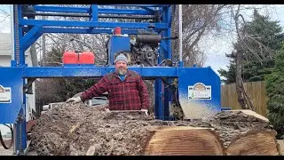 Sawmilling a damaged black walnut log with our Tru-Cut Sawmill