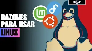 Por esto deber&iacute;as utilizar Linux en 2025