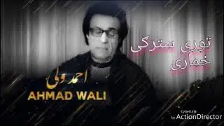 Ahmed  Wali   pashto song   توری سترګي خماري