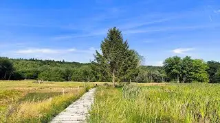 Vyhl&iacute;dkov&aacute; věž Na Chlumu, b&yacute;val&aacute; střelnice Koch&aacute;novice