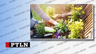 Local professionals with gardening advice for the upcoming season