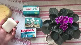 Антибактериальное мыло SARMA, TEA TREE, AntiBak.