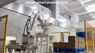 Caja de cart&oacute;n Robot Mano recogiendo la clasificaci&oacute;n de paletizador de m&aacute;quina paletizador