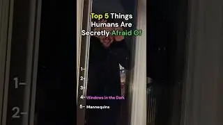 Top 5 Things Humans Are Secretly Afraid Of 😨 (You Probably Are Too&hellip;)  #facts#scary #top5 #humanbody