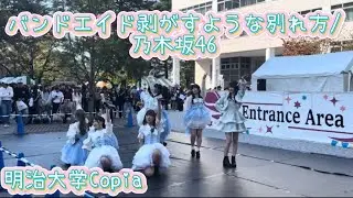 【明治大学Copia】バンドエイド剥がすような別れ方/乃木坂46 踊ってみた