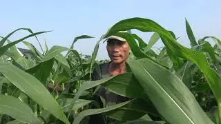 THÀNH QUẢ SAU MỘT THỜI GIAN VẤT VẢ