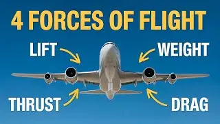 Principles of Flight: Lift, Weight, Thrust, Drag Explained Simply
