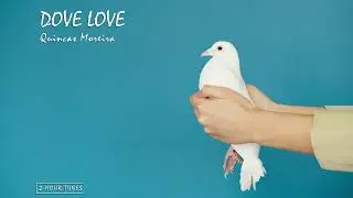Dove Love - Quincas Moreira | 2-hour tune | Endless loop | Copyright Free!