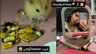 يوم من حياتي كطالبة خارج المغرب 🧁💄 + مفاجأة آخر النهار 🐹