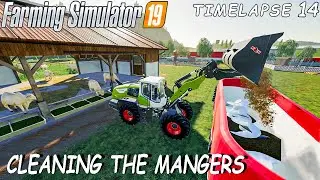 Cleaning Chickens and Cows Mangers | Farming Simulator 19 | Animals on Felsbrun #14
