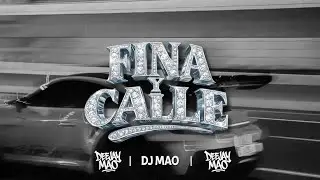 FINA Y CALLE | @DJMAO 