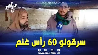 شاهد .. عصابة #سرقة_المواشي تستغل الرياح القوية ليلا 😡 و #تسطو على قطيع غنم أحد الموالين 🥺