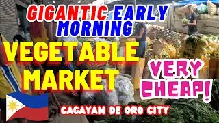 Gigantic Early Morning Public Vegetable Market: Cagayan de Oro City - Philippines